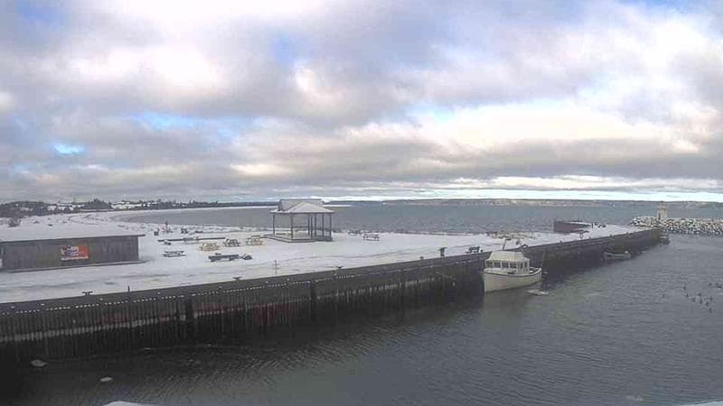 Belliveau Cove Harbour