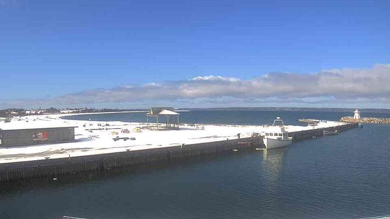Belliveau Cove Harbour