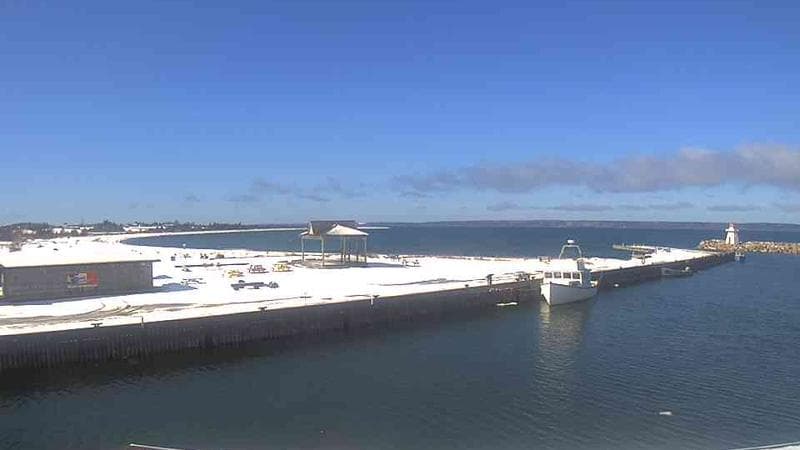 Belliveau Cove Harbour
