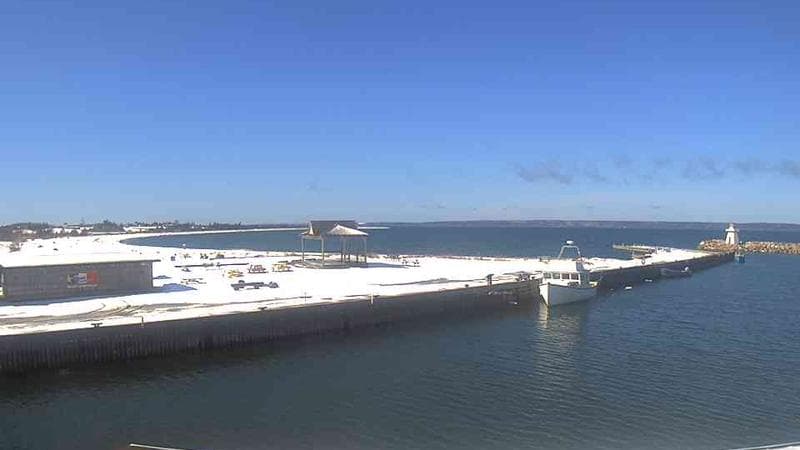 Belliveau Cove Harbour