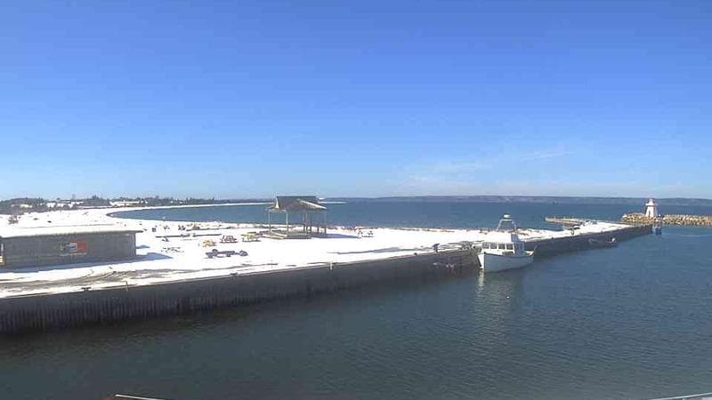 Belliveau Cove Harbour