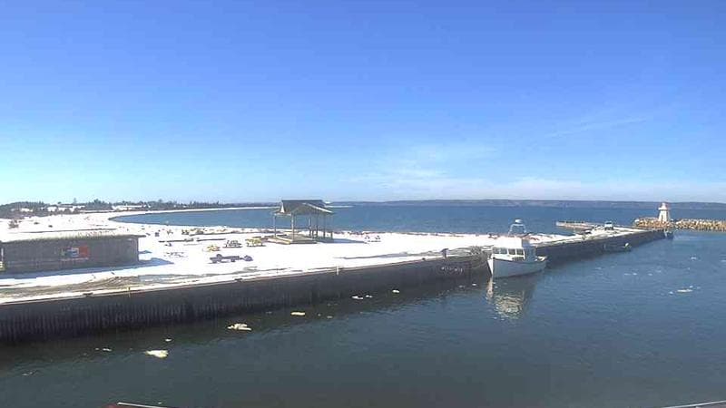 Belliveau Cove Harbour