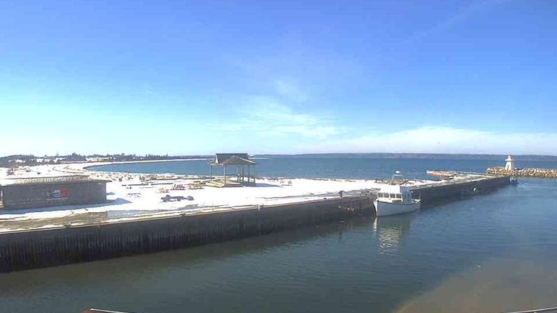 Belliveau Cove Harbour