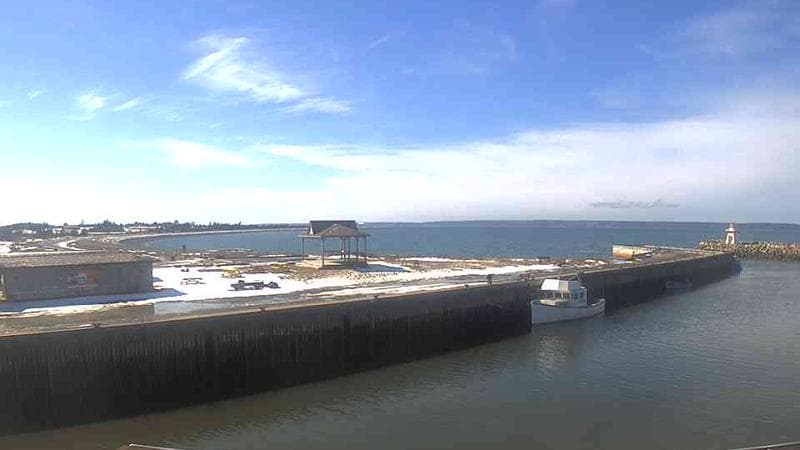 Belliveau Cove Harbour