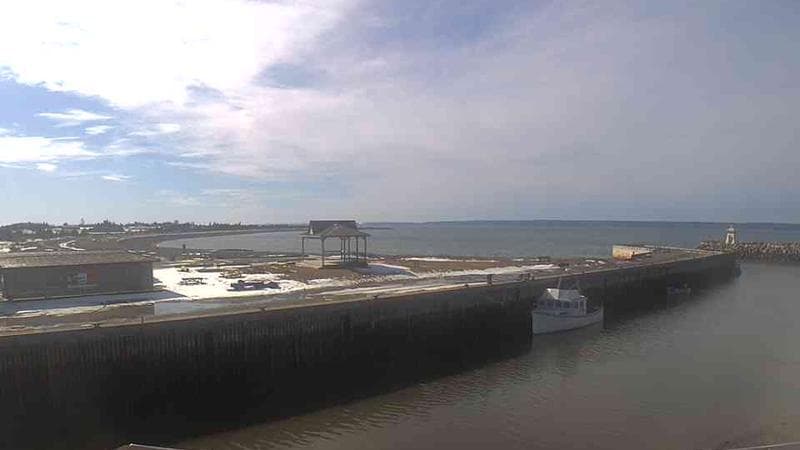 Belliveau Cove Harbour