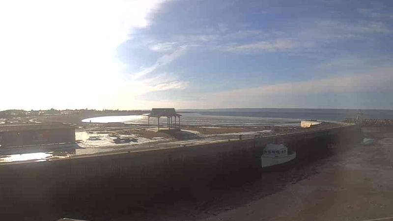 Belliveau Cove Harbour