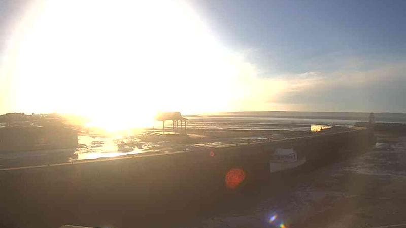 Belliveau Cove Harbour