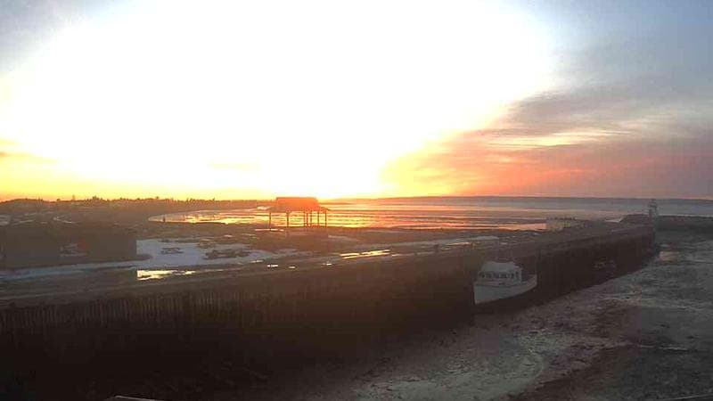 Belliveau Cove Harbour