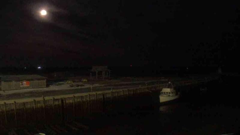 Belliveau Cove Harbour