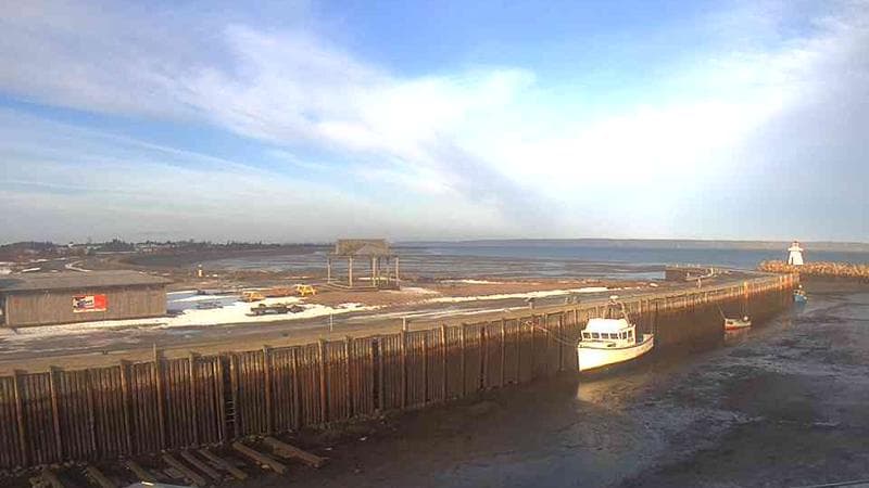 Belliveau Cove Harbour