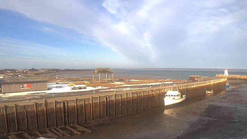 Belliveau Cove Harbour