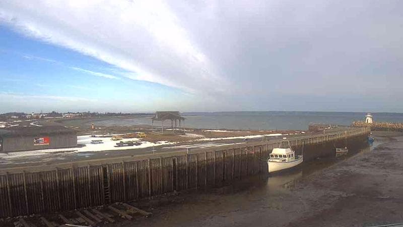 Belliveau Cove Harbour