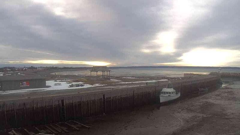 Belliveau Cove Harbour