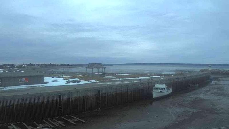Belliveau Cove Harbour