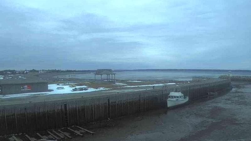 Belliveau Cove Harbour