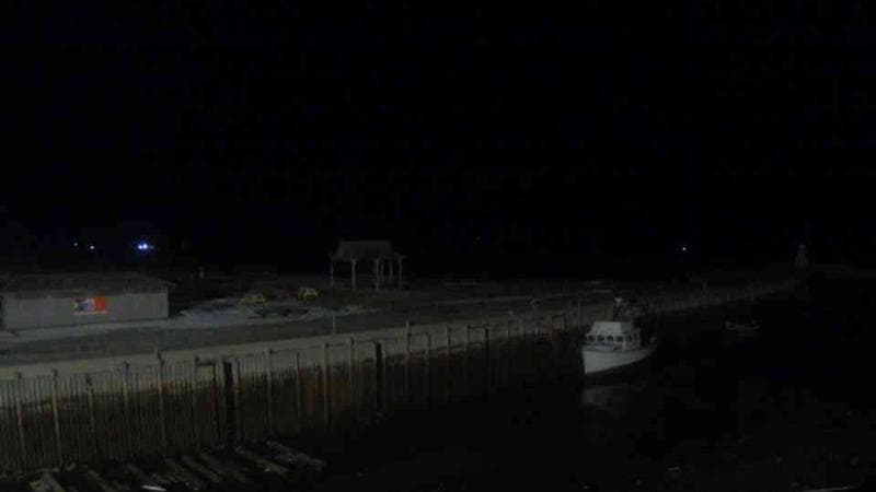 Belliveau Cove Harbour