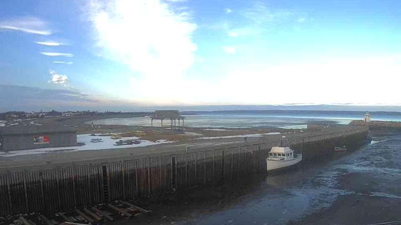 Belliveau Cove Harbour