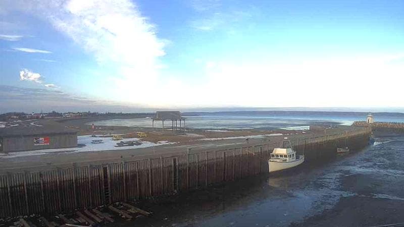 Belliveau Cove Harbour