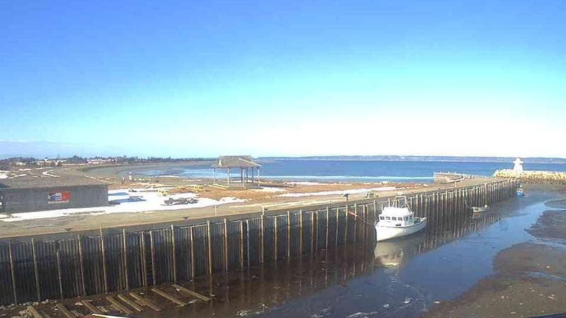 Belliveau Cove Harbour