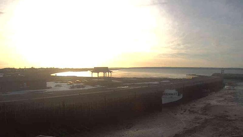 Belliveau Cove Harbour