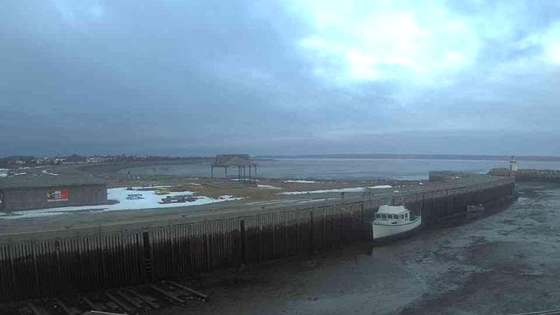 Belliveau Cove Harbour