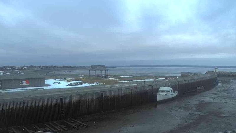 Belliveau Cove Harbour