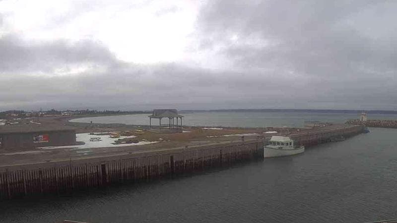 Belliveau Cove Harbour
