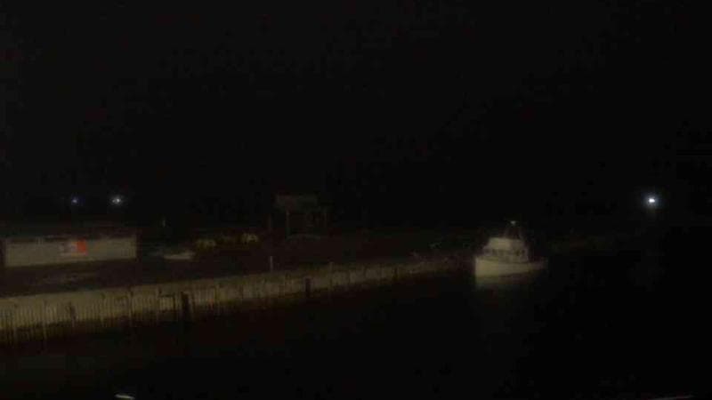 Belliveau Cove Harbour