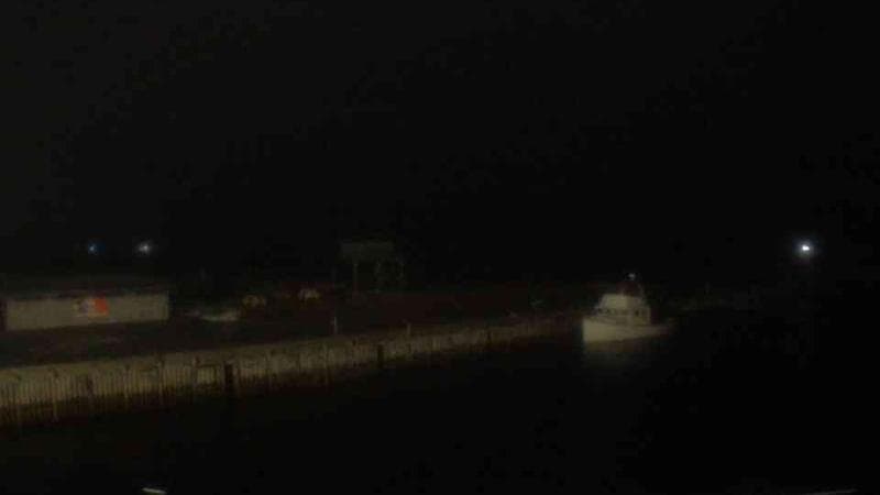 Belliveau Cove Harbour