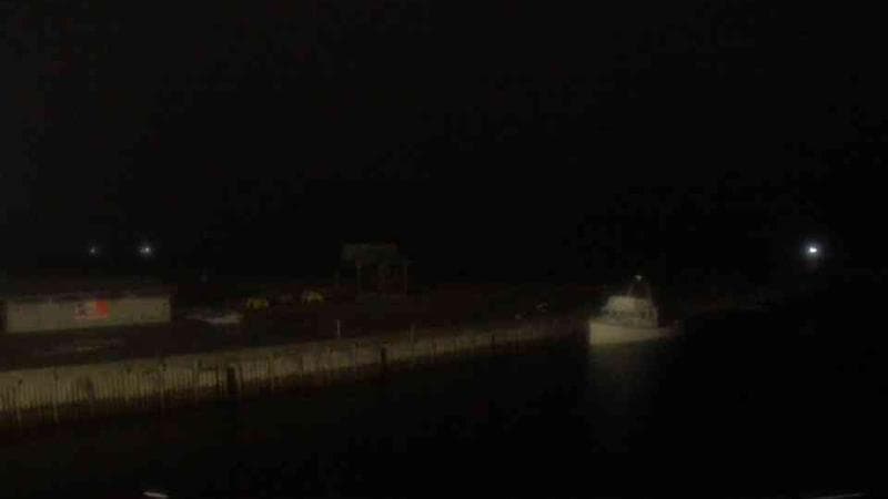 Belliveau Cove Harbour