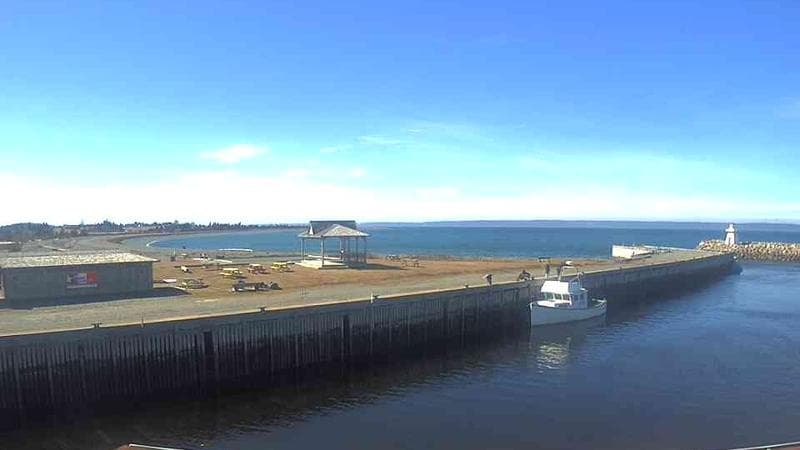 Belliveau Cove Harbour