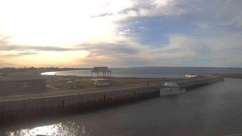 Belliveau Cove Harbour