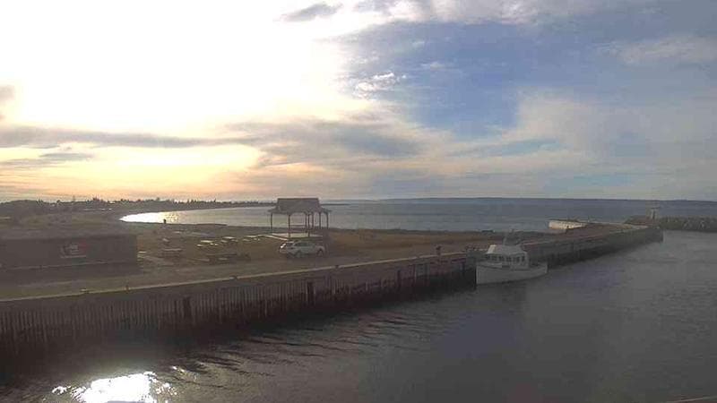 Belliveau Cove Harbour