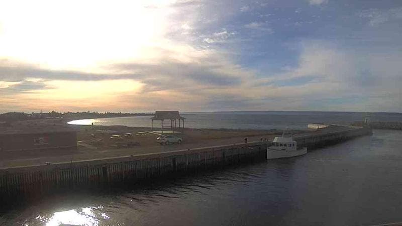 Belliveau Cove Harbour