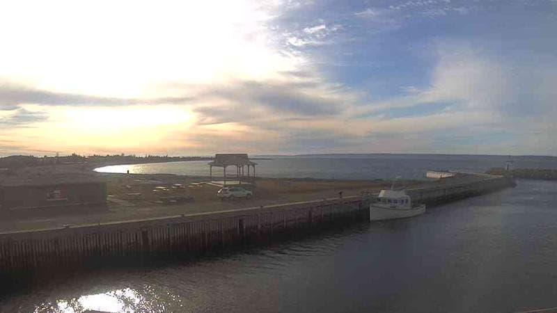 Belliveau Cove Harbour