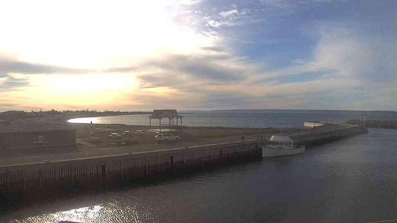 Belliveau Cove Harbour