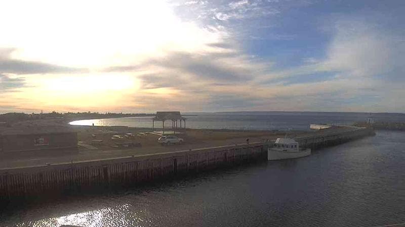 Belliveau Cove Harbour