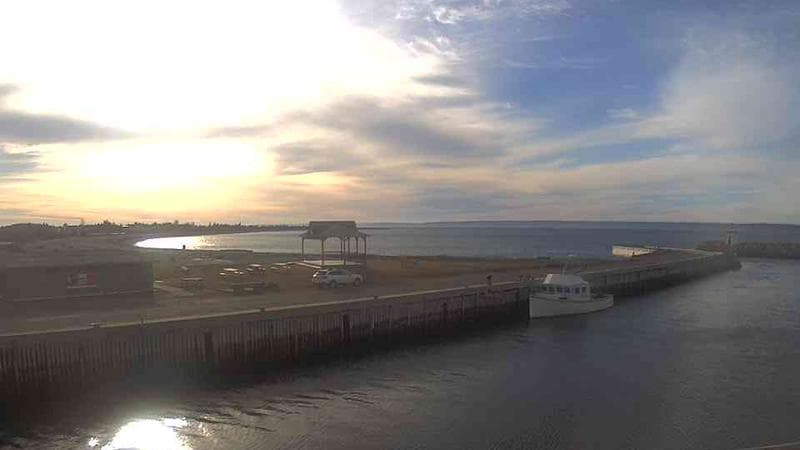 Belliveau Cove Harbour