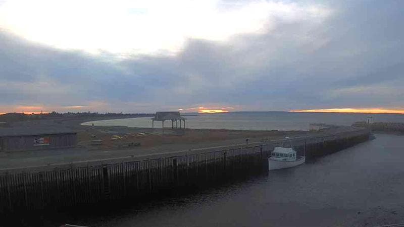 Belliveau Cove Harbour