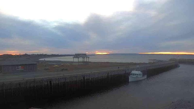 Belliveau Cove Harbour