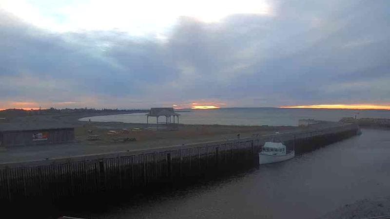 Belliveau Cove Harbour