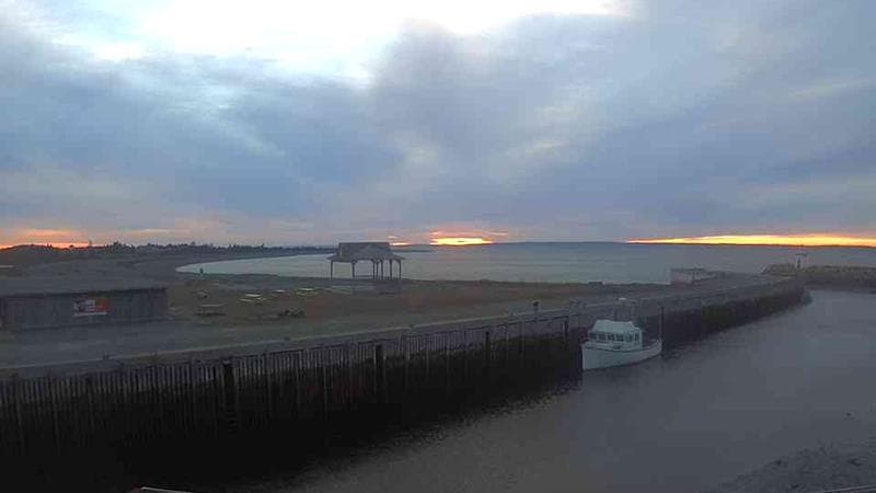 Belliveau Cove Harbour