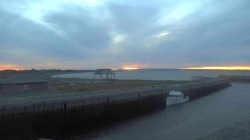 Belliveau Cove Harbour