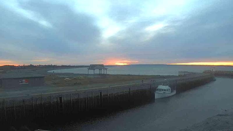 Belliveau Cove Harbour