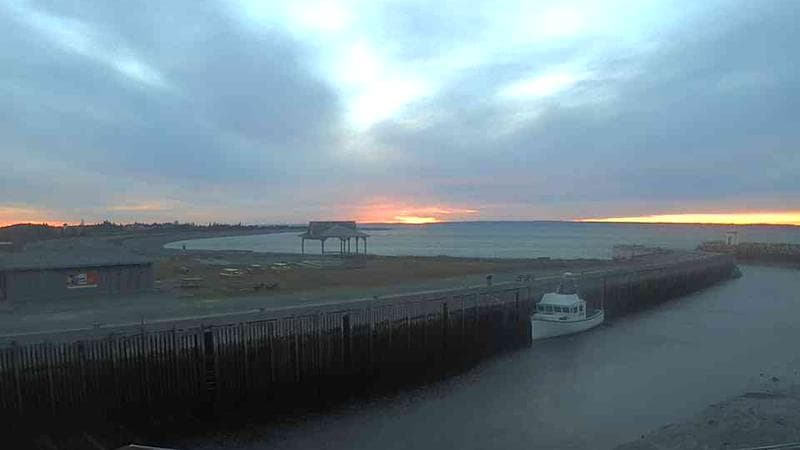 Belliveau Cove Harbour