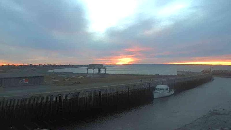Belliveau Cove Harbour
