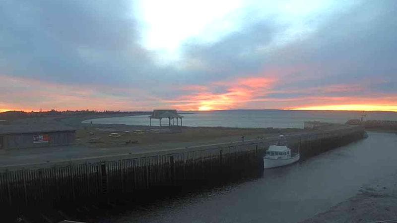 Belliveau Cove Harbour