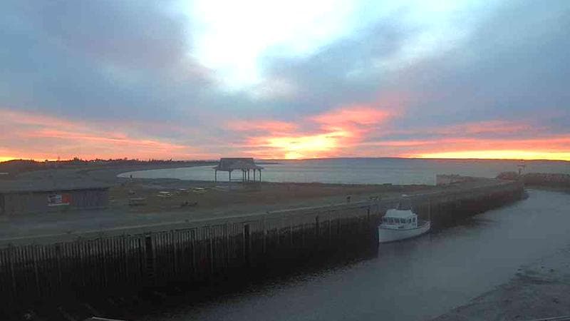 Belliveau Cove Harbour