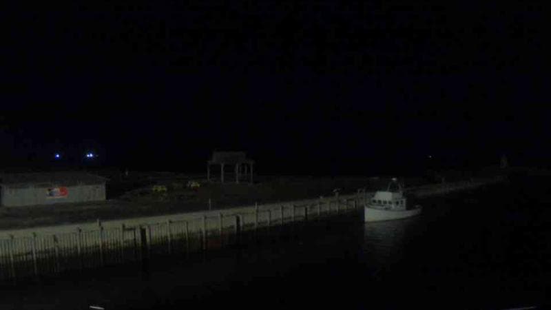 Belliveau Cove Harbour