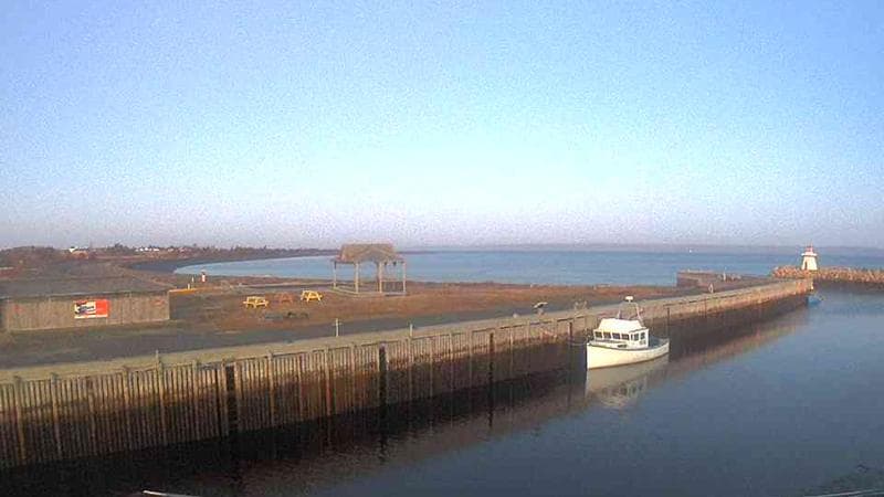 Belliveau Cove Harbour